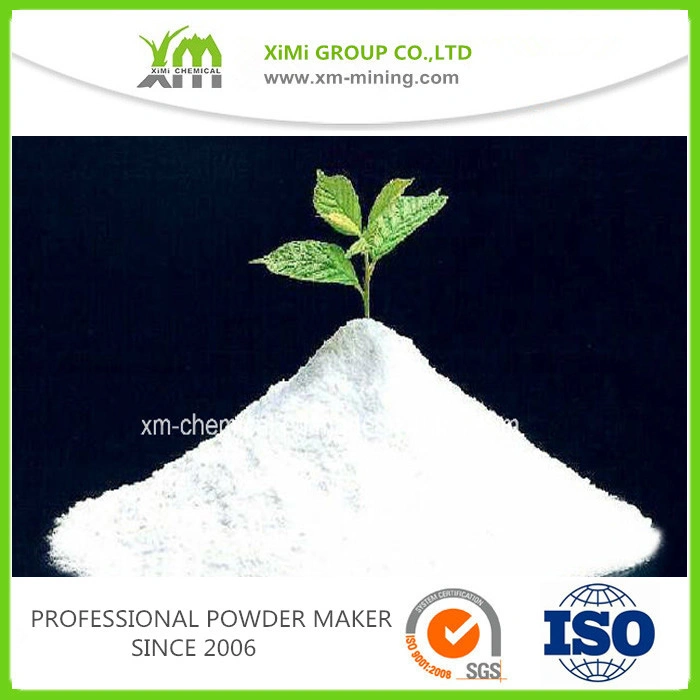 Chemical Natural Barium Sulfate Baso4, Pigment, Filler Material, Power Coating, Paint Application