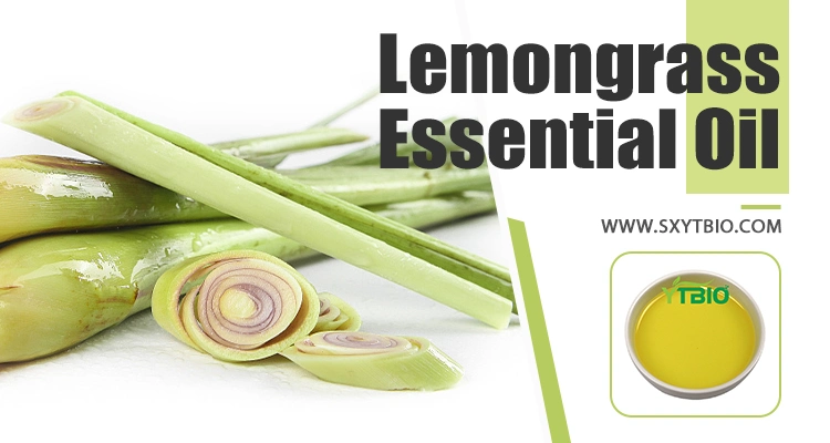 High Quality Bulk Price Pure and Natural Essential Oil Lemongrass Oil