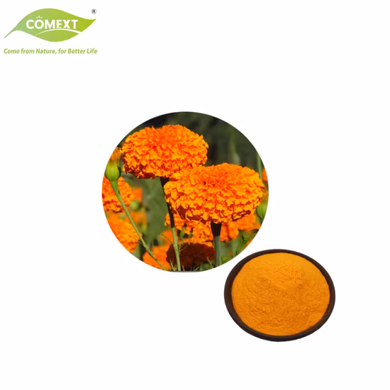 Factory Supply Top Quality Purity Pharmaceutical Chemical Intermediates Natural Pigment Lutein From Marigold Flower Extract CAS 127-40-2 Raw Powder